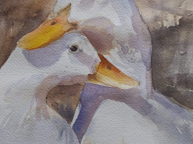 acquerello di Alessia Bortolami